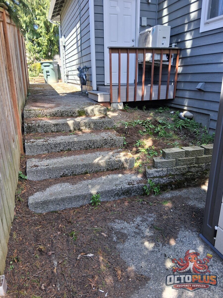 Side-yard cleanup & mulch bed — before
