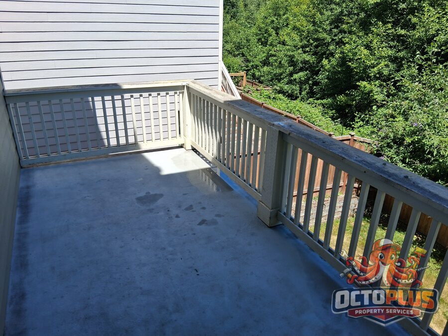 Full deck refinish — before